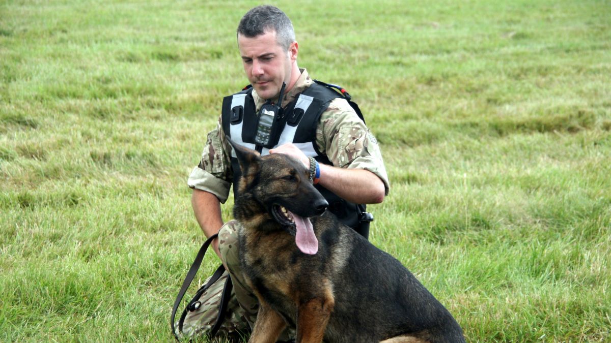 Devenir maître-chien : formation, missions et débouchés